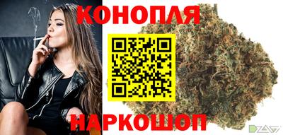 прущие крисы Канаш