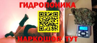 прущие крисы Канаш