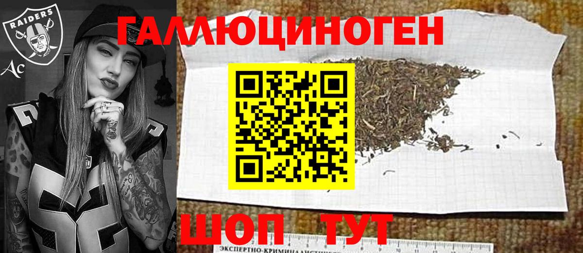 Курчалой  Галлюциногенные грибы мицелий  Псилоцибиновые грибы мухоморы  Вход с VPN 